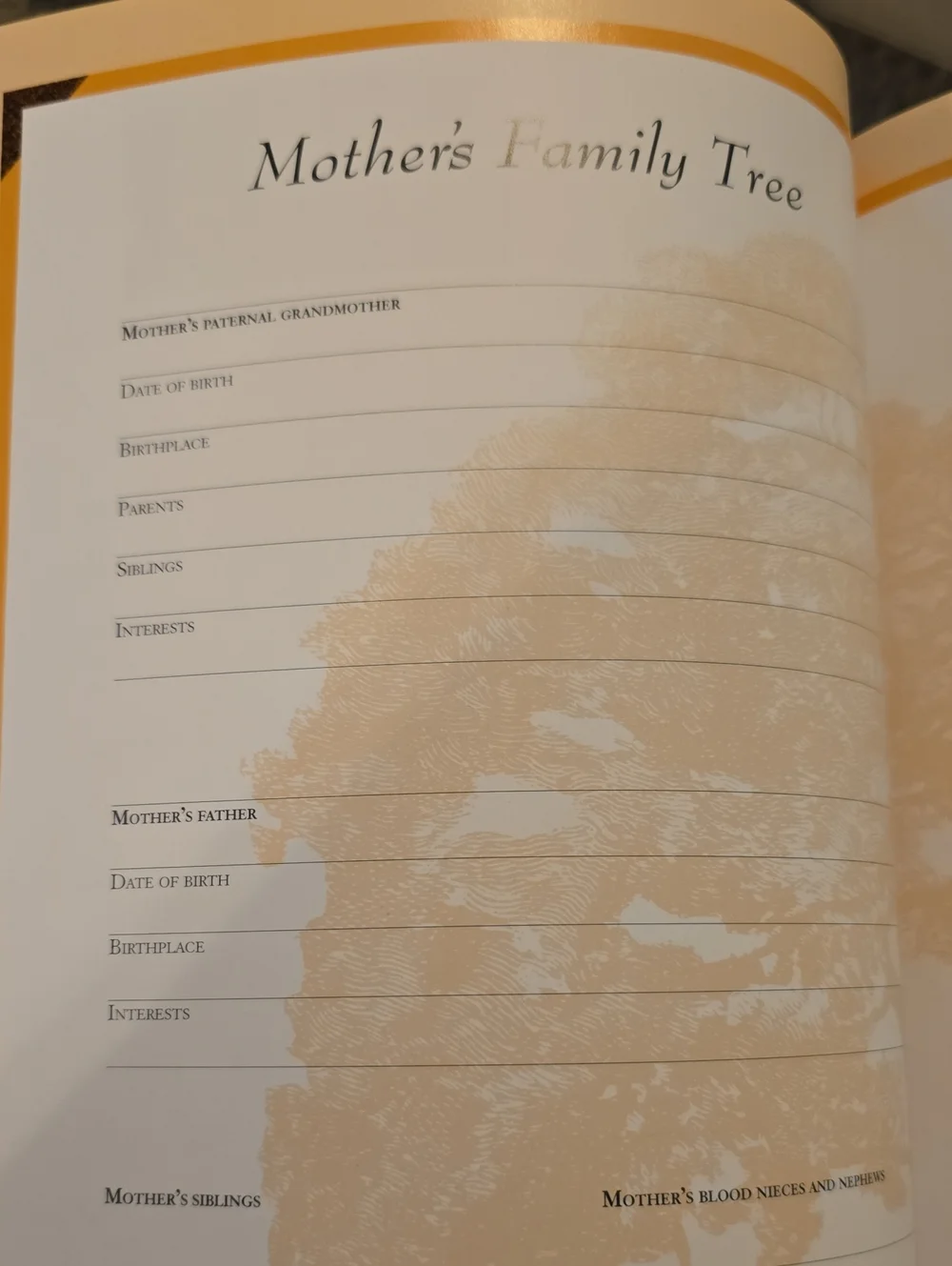 Our Family Tree and Album - Brown and Gold Keepsake Book